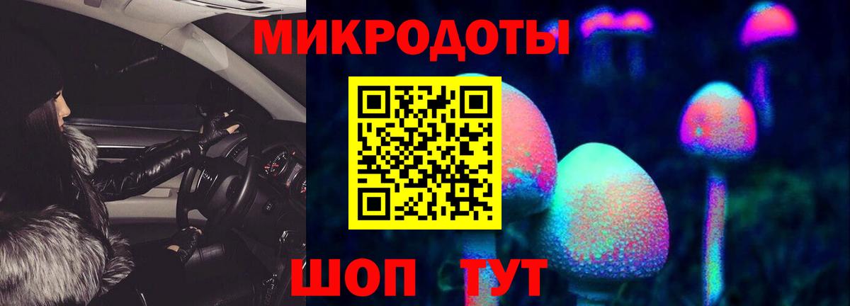 Рославль  Галлюциногенные грибы Psilocybine cubensis  Вход с VPN  Галлюциногенные грибы прущие грибы 